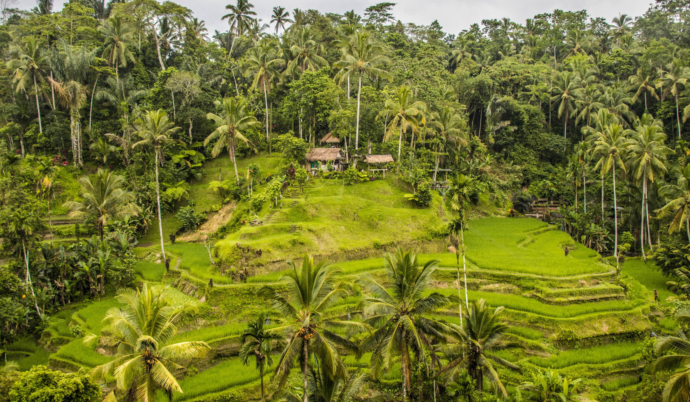 Slide 94
